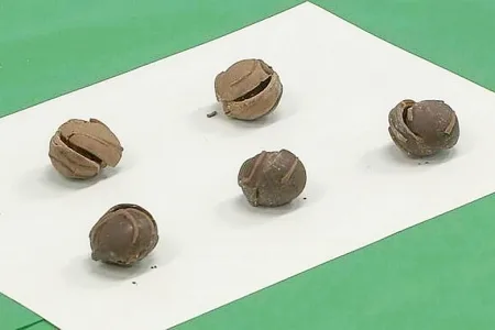 メキシコからチョコの中にコカイン入れ密輸 麻薬密売組織の中心人物 住吉会傘下幹部を逮捕