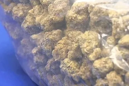 備長炭の輸入装った乾燥大麻1トン（52億円相当）を押収 ベトナム国籍の男女3人を逮捕・起訴