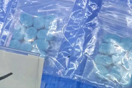 営利目的で大麻草栽培、約4670万円相当の違法薬物所持などで男女7人を逮捕