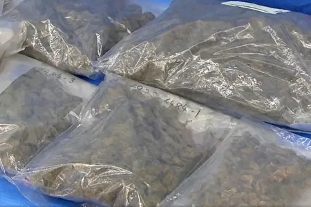 営利目的で大麻草栽培、約4670万円相当の違法薬物所持などで男女7人を逮捕