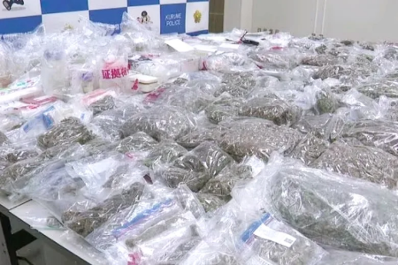 大麻や覚醒剤などの密売グループを摘発 末端価格約1億円相当の薬物押収
