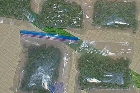 覚醒剤や乾燥大麻など営利目的所持 山口組系茶谷政一家傘下「細谷組」組長を起訴