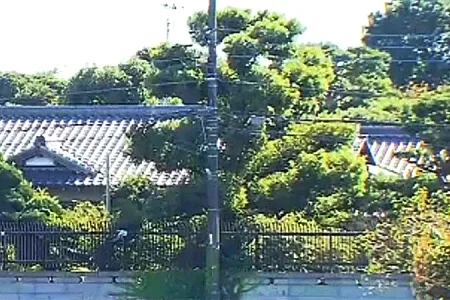 差し押さえ回避目的で自宅を親族に無償贈与…死亡した住吉会前代表を書類送検