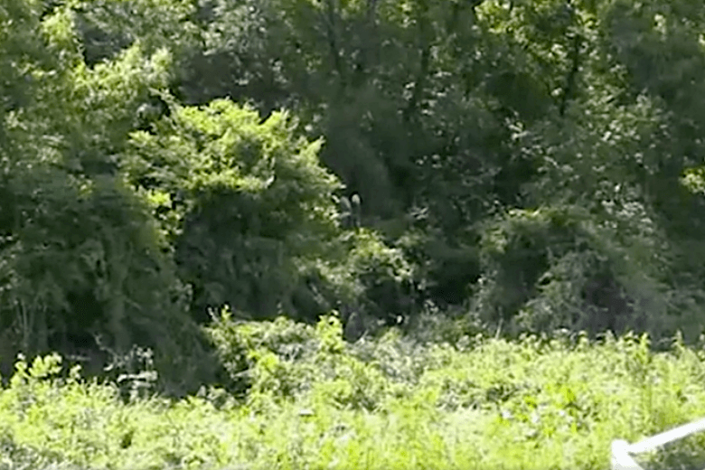 絆會系「由仁総業」の谷奥由浩組長銃撃事件-帽子と服脱ぎ゙捨てる様子が映っていた現場付近