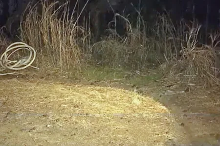 逃走車両が発見された河川敷