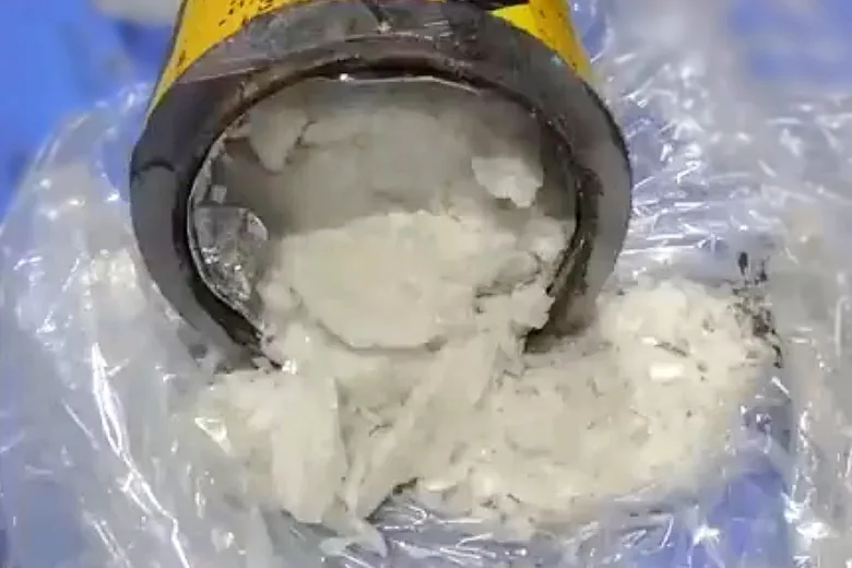 覚醒剤9.3キロを密輸-コロンビア国籍の住吉会傘下組員を逮捕