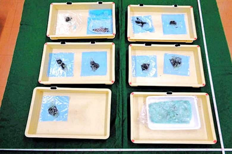 覚醒剤やケタミン、MDMAなどをシャンプーボトルやコーヒー袋の中に隠して密輸-ベトナム人の男を告発